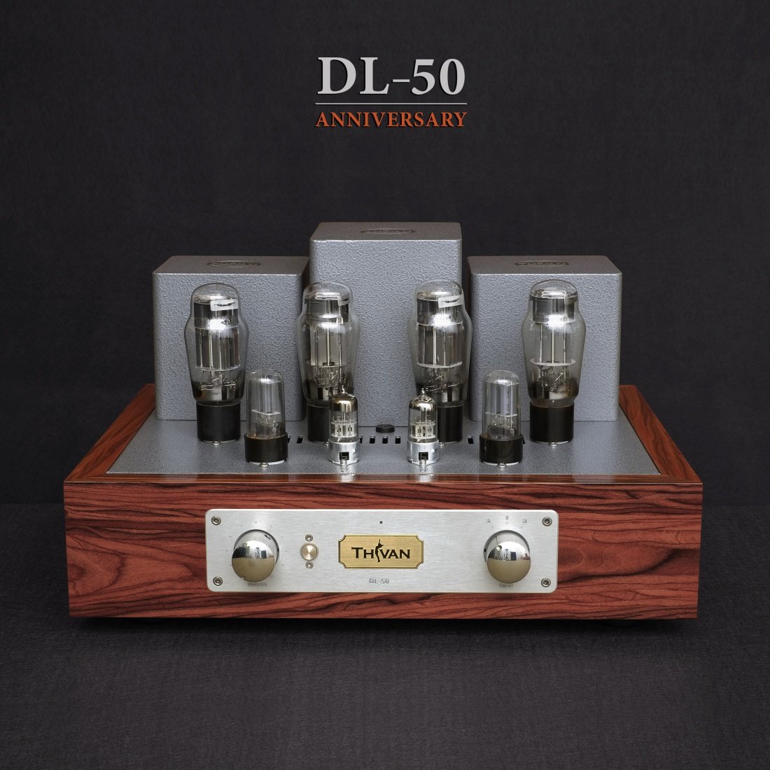 Thivan Labs DL-50 Anniversary Vollverstärker